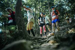 BIB: 
                            <button type="button" onclick="openModal(25990790)" class="btn btn-primary btn-sm float-right btn-popup" data-toggle="modal" data-target=".modal-high-quality">
                        <i class="fas fa-shopping-cart"></i> Add to Cart
                    </button>
                                            <button type="button" onclick="isThisMe(25990790, true)" class="btn btn-success btn-sm float-right btn-popup btn-isme hidden" data-toggle="tooltip" data-placement="bottom" title="นี่คือรูปของคุณใช่ไหม คลิกที่นี่เพื่อเอาเข้าอัลบั้ม">
                        <i class="fas fa-plus"></i> Add to album
                    </button>
                    <button type="button" onclick="isThisMe(25990790, false)" class="btn btn-warning btn-sm float-right btn-popup btn-isnotme hidden">
                        <i class="fas fa-ban"></i> Remove from album
                    </button>